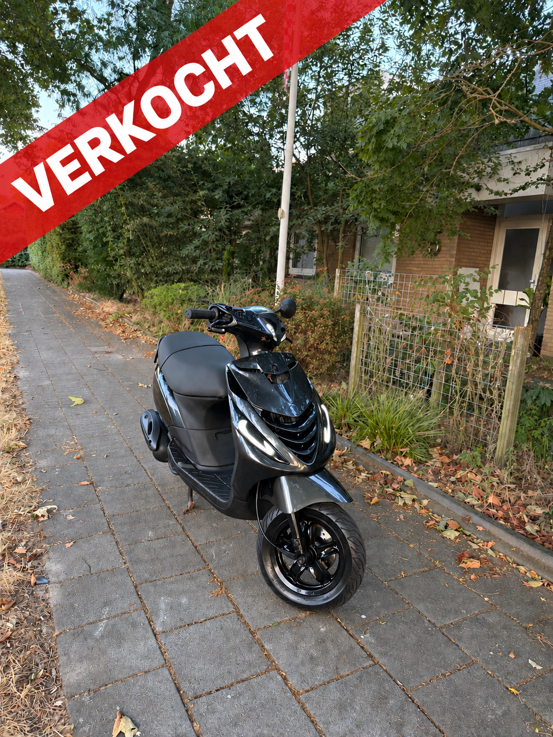Piaggio zip